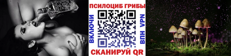цена hydra рабочий сайт Галлюциногенные грибы прущие грибы Белозерск